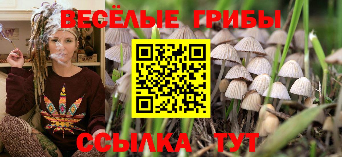 Симферополь  Галлюциногенные грибы MAGIC MUSHROOMS  Вход с VPN  Псилоцибиновые грибы Magic Shrooms 